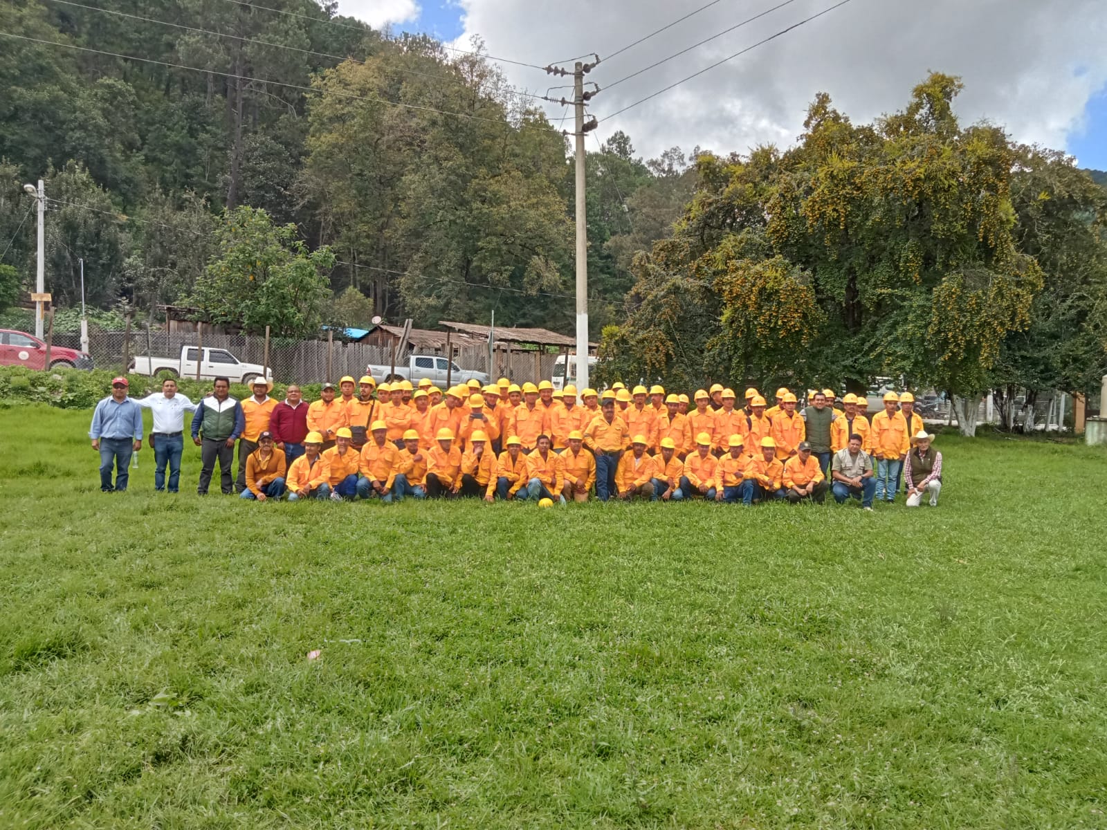 Servicios Técnicos Forestales