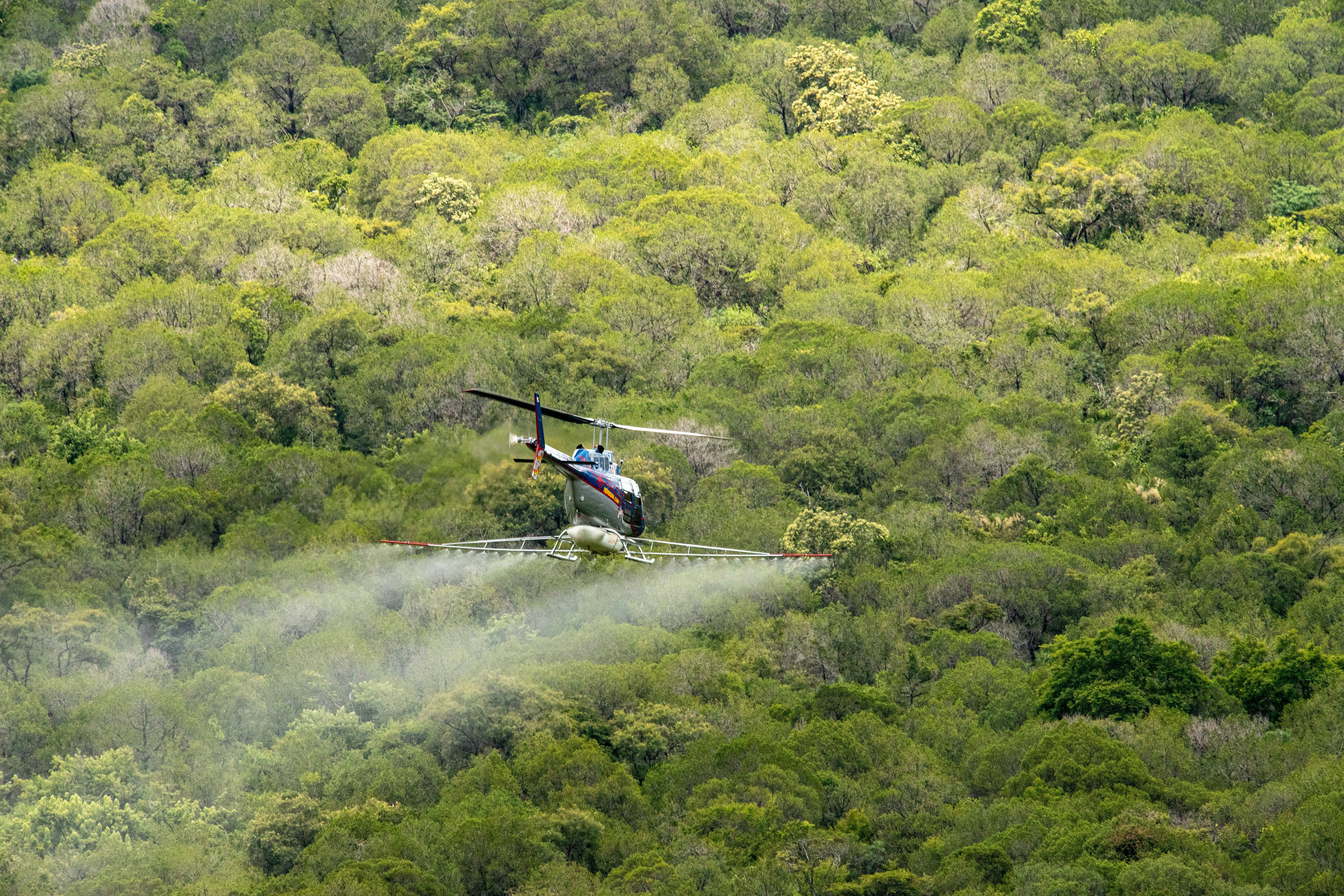 Servicios Técnicos Forestales