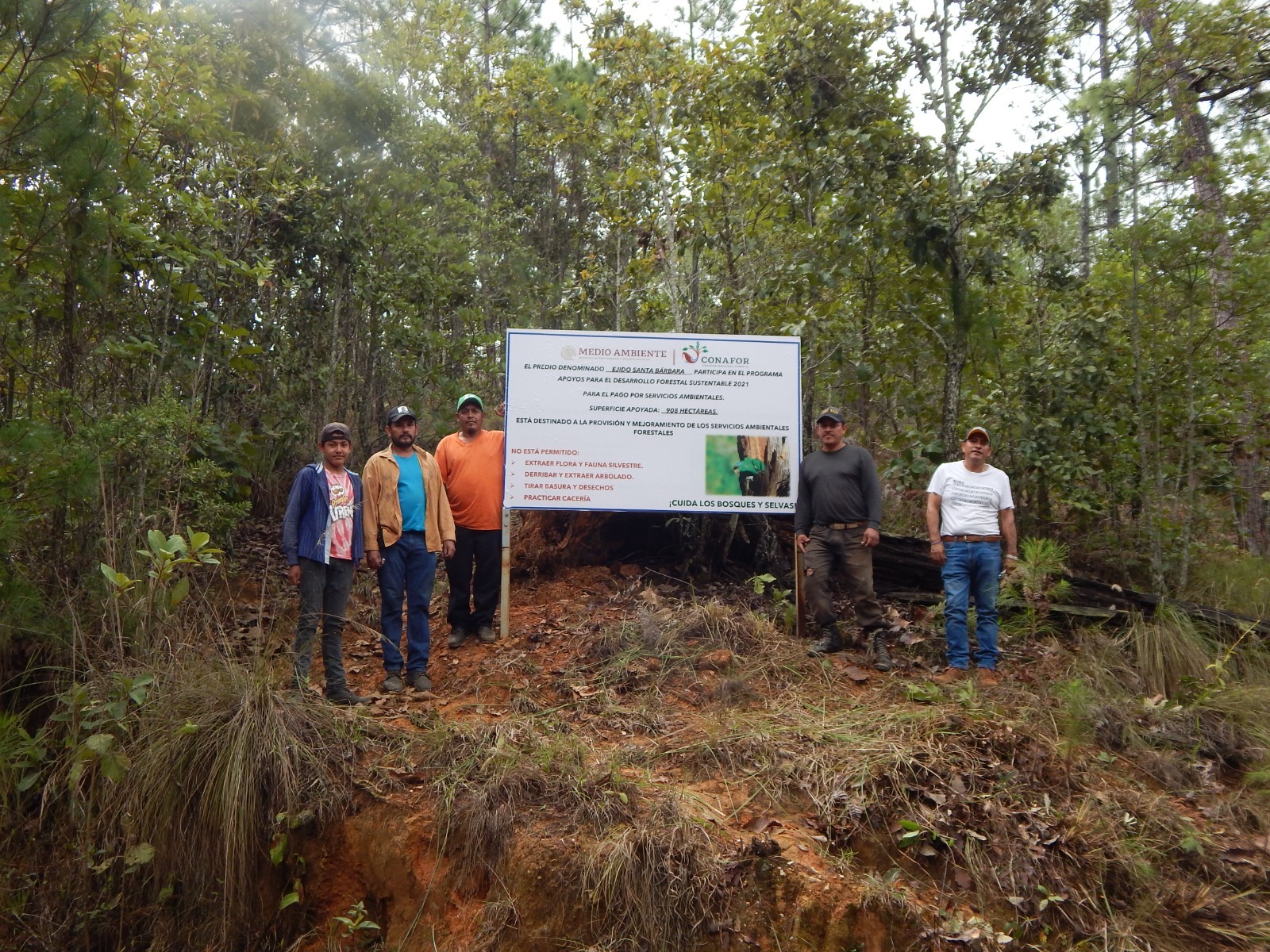 Servicios Técnicos Forestales