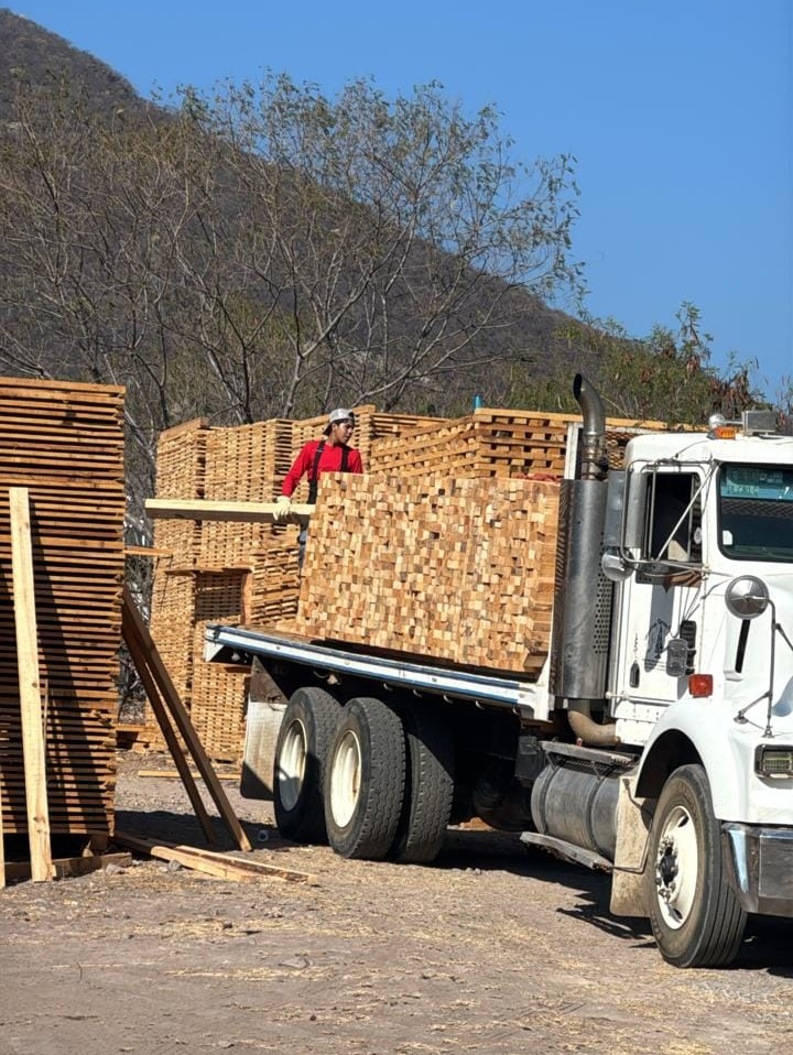 Servicios Técnicos Forestales